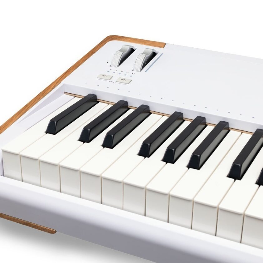 Arturia AstroLab 88 synthesizer - Image 6