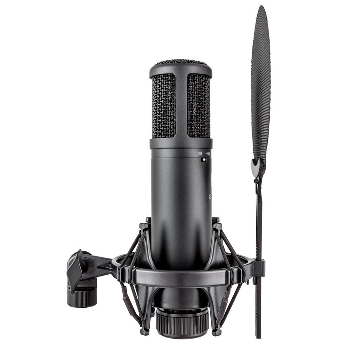 SE Electronics SE2200 grootmembraan condensatormicrofoon - Image 3