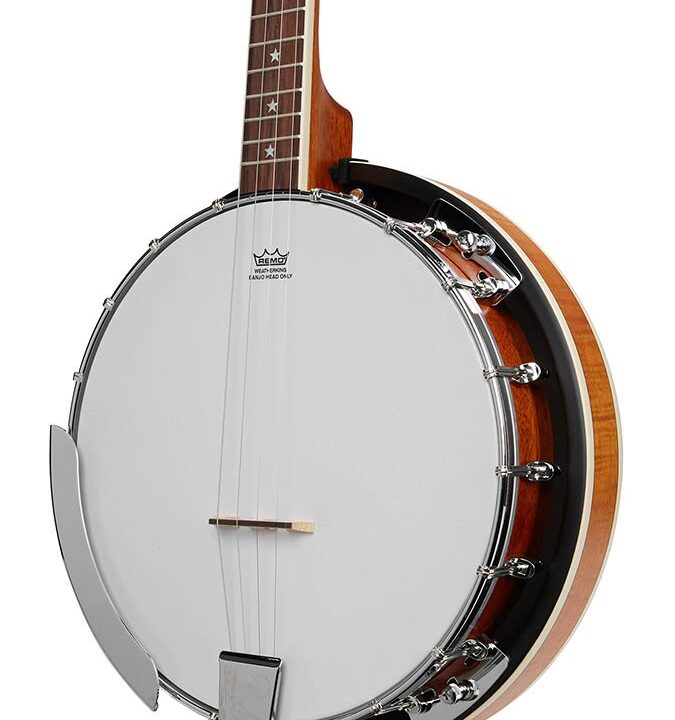 BJ404 SX 4 string banjo natural satin