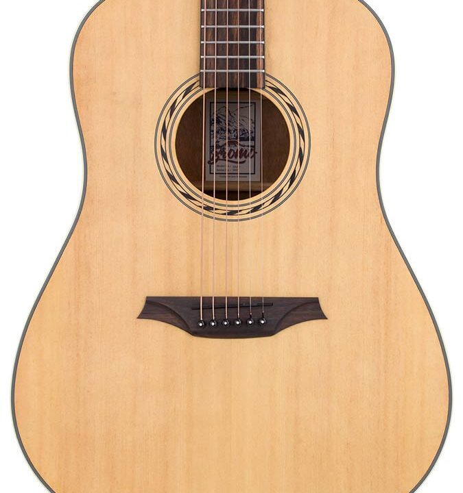 Bromo BAA1 Appalachian Series Westerngitaar